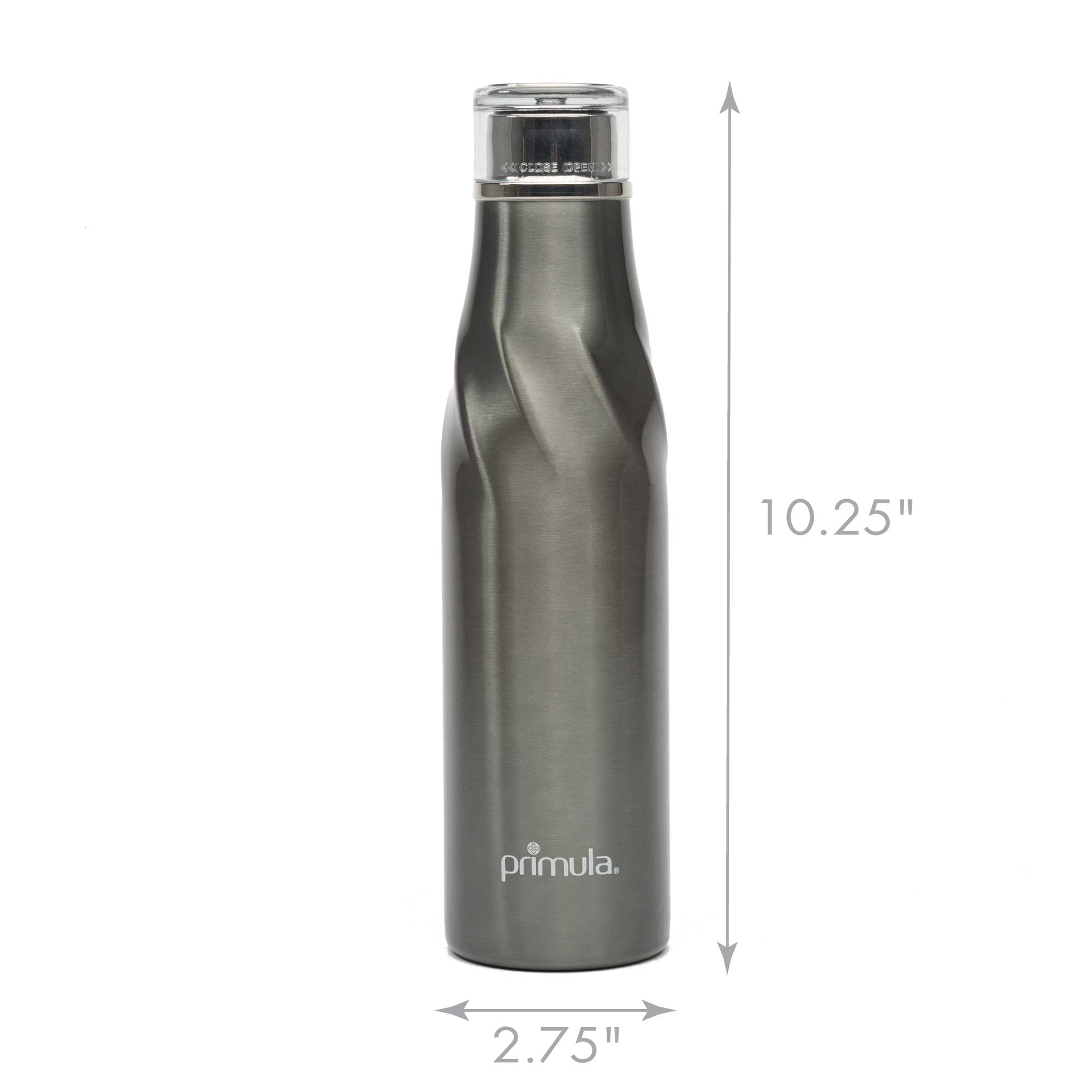 Primula Stainless Steel Water Bottle with Wide Mouth and Screw Cap, 18 Ounces, Gunmetal Gray