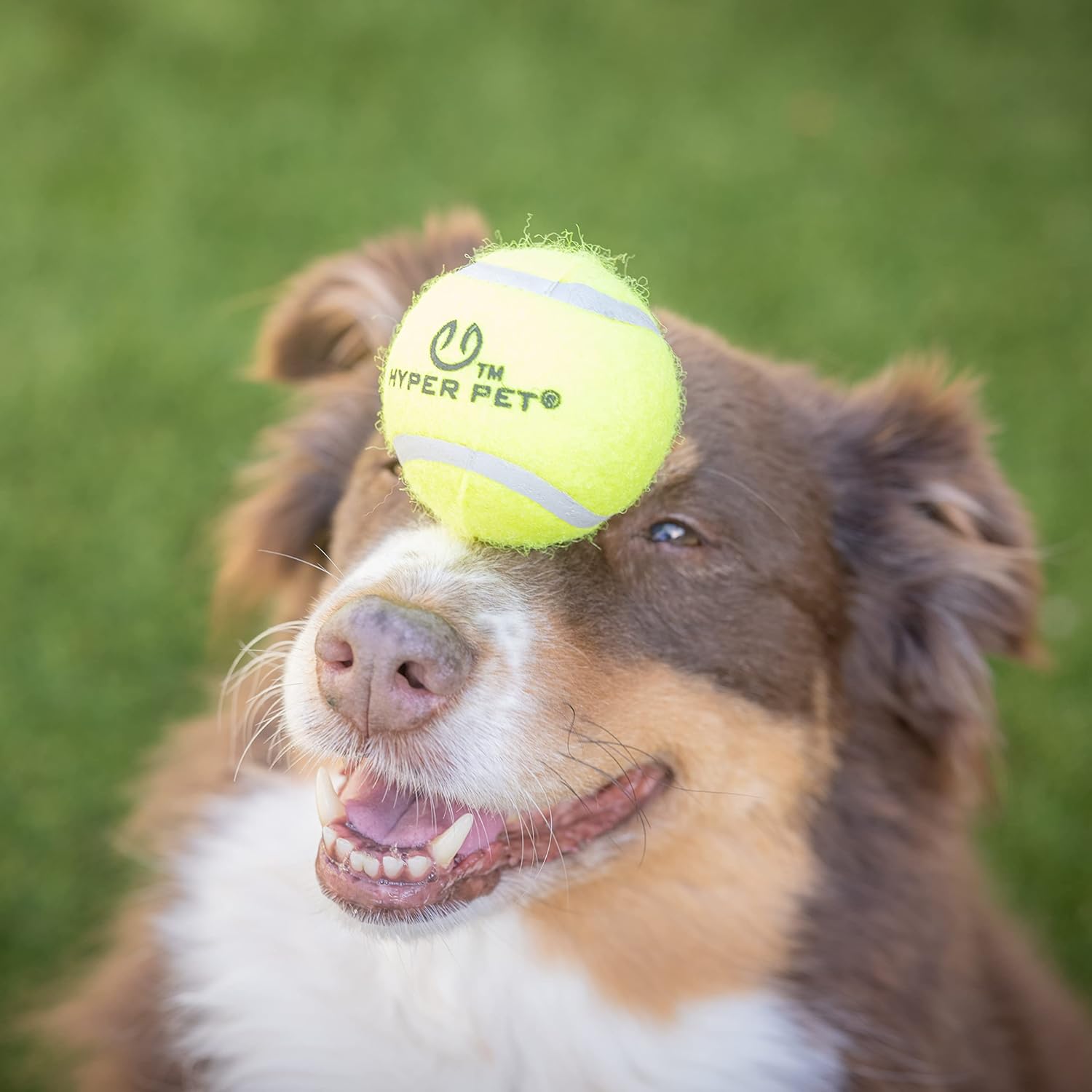 Hyper Pet Tennis Balls for Dogs - 12 Pack 2.5" (Dog Ball Dog Toys for Exercise, Fetch K9 Mini Kannon K2) Interactive Dog Toys & Dog Tennis Balls - Great Dog Toys for Small Dogs & Dog Gifts (Green)